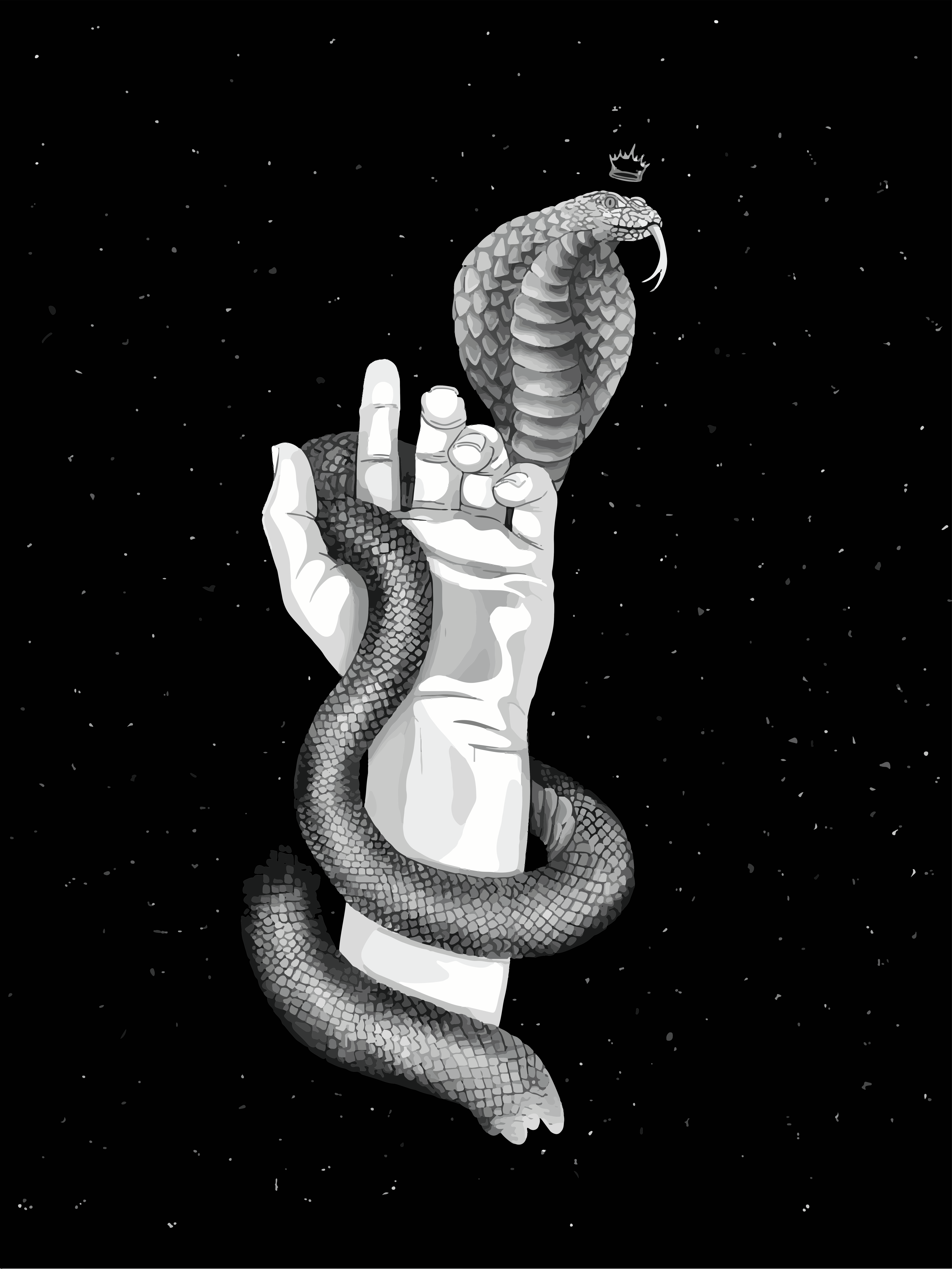 A hand holds a crowned cobra against a starry background