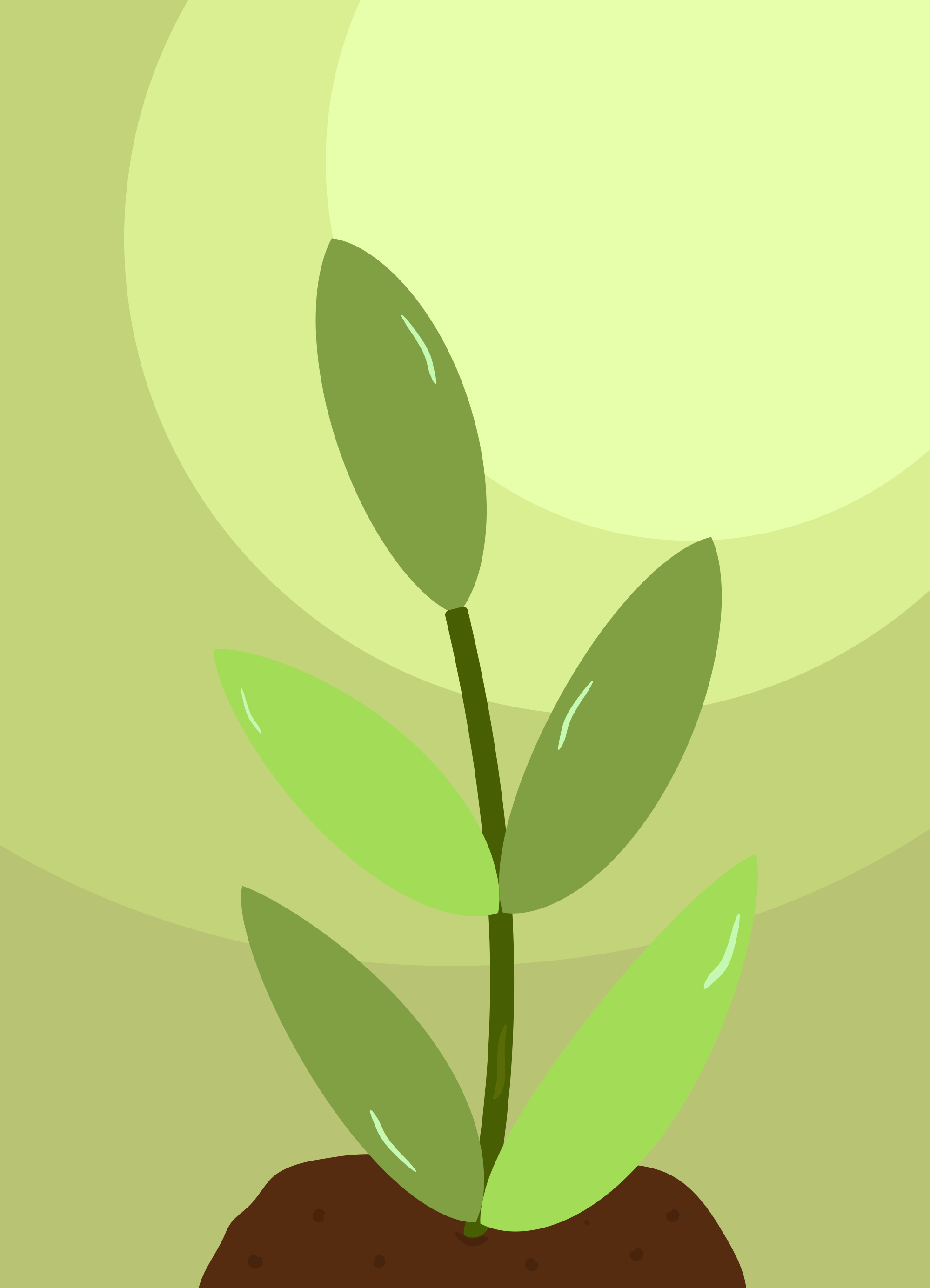 Photo by ummehaniali