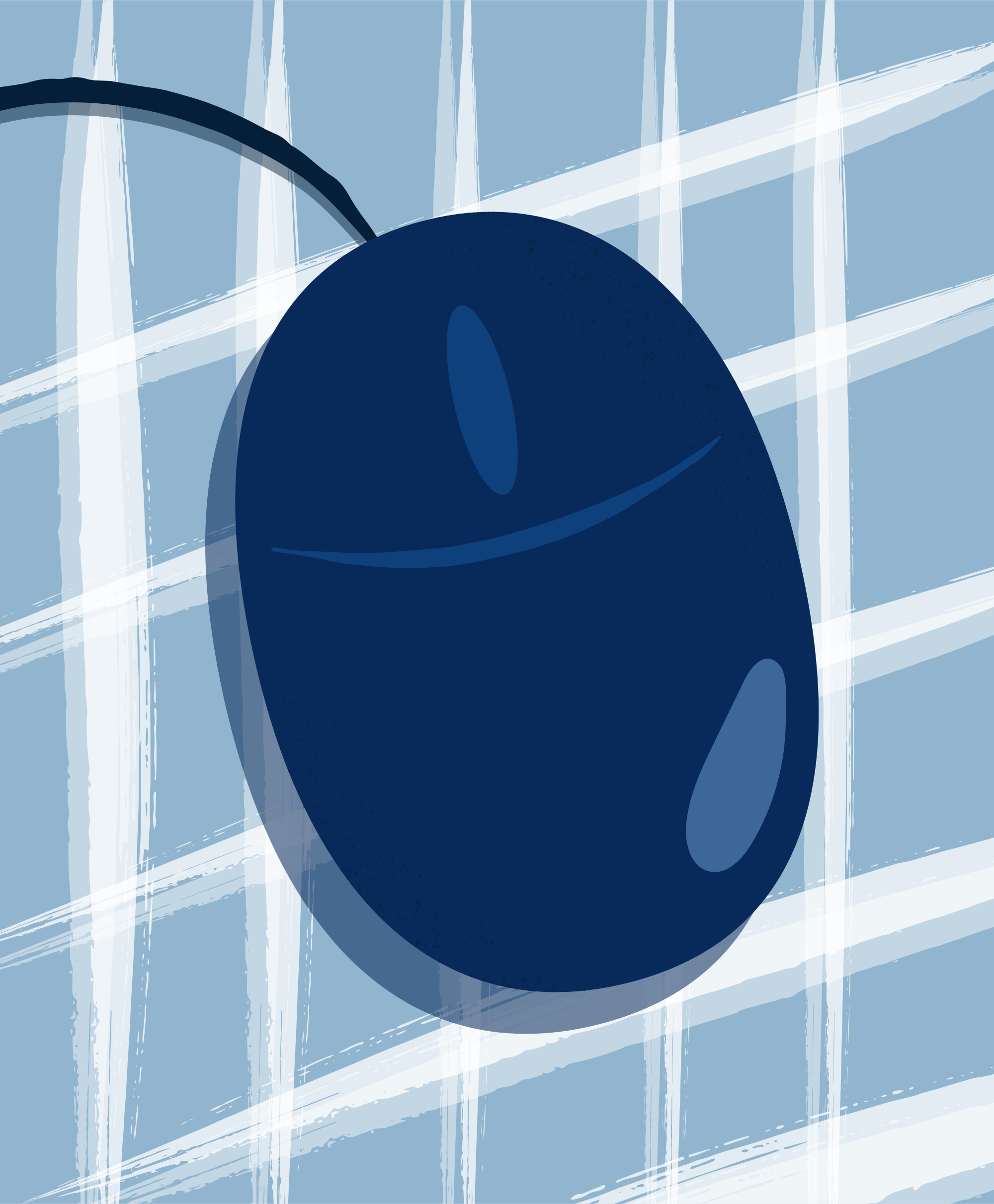 Photo by ummehaniali