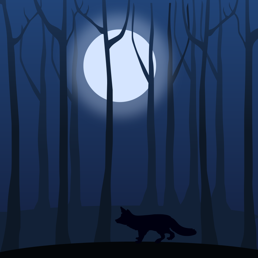 Seekor rubah tunggal berjalan melalui hutan gelap di malam hari.