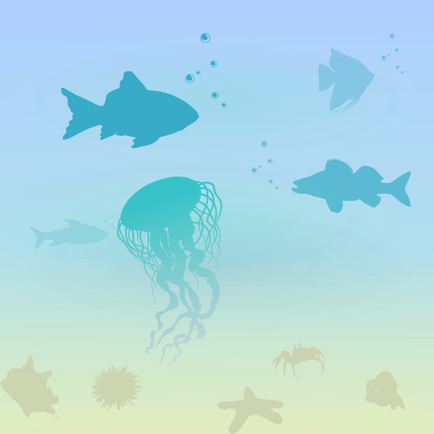 Photo by gabrieleromanoy