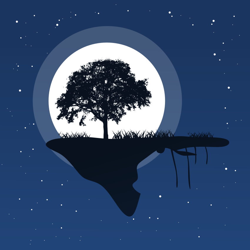 Photo by gabrieleromanoy