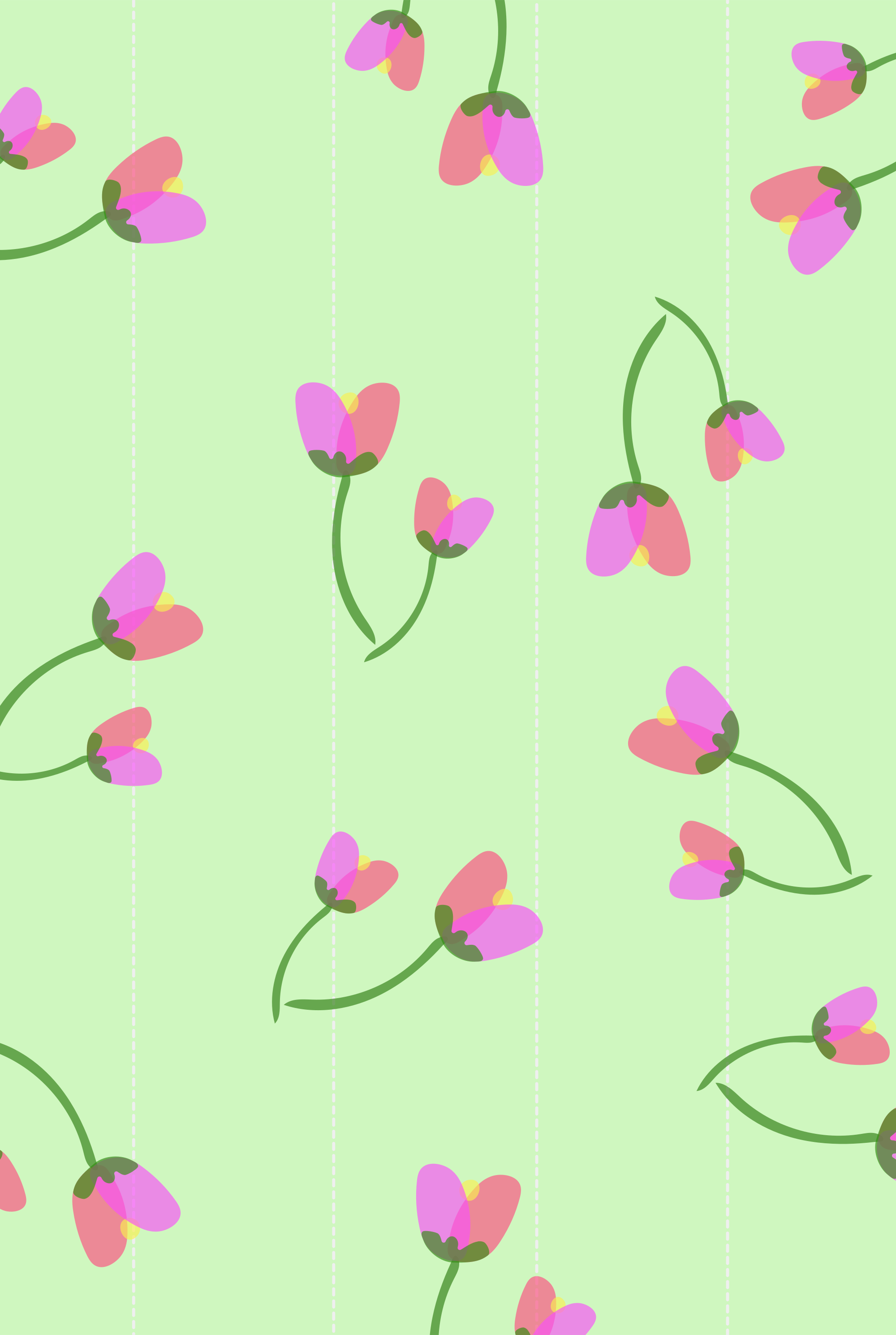 Photo by ummehaniali