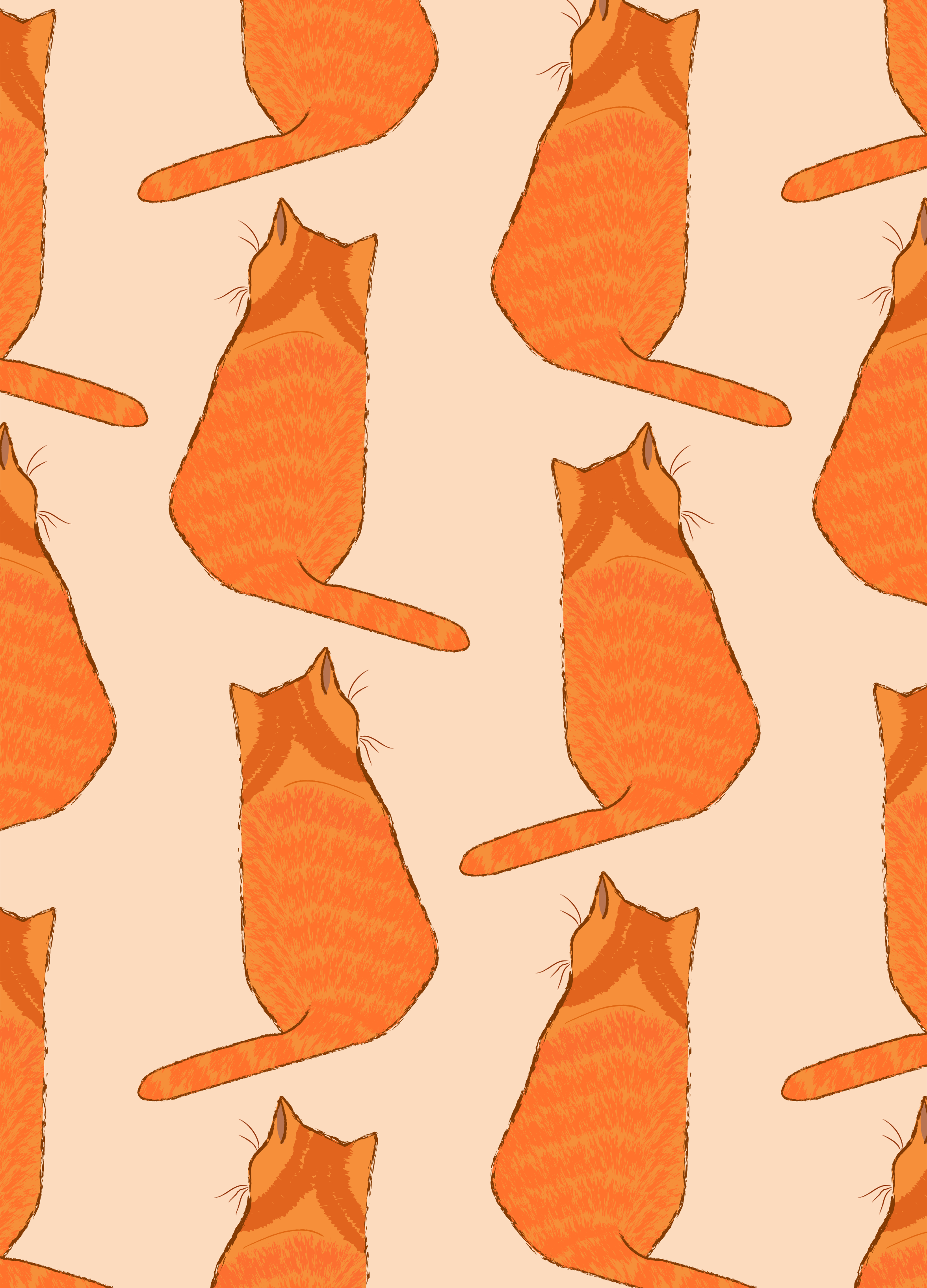 Photo by ummehaniali