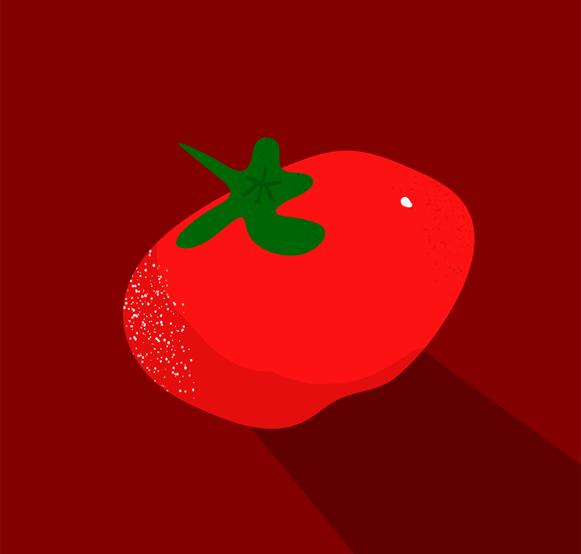 Photo by ummehaniali