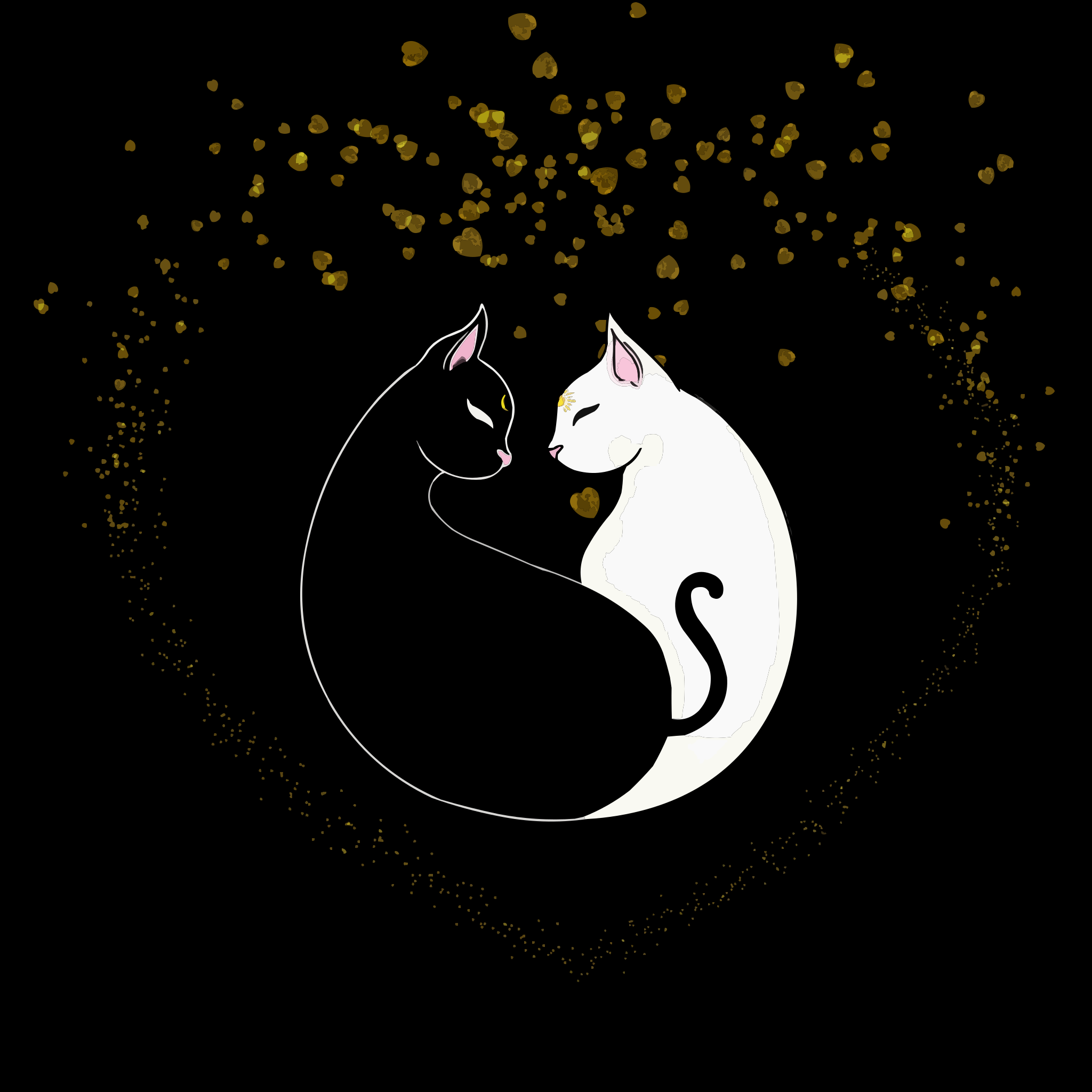 Photo by pragatichoudhari