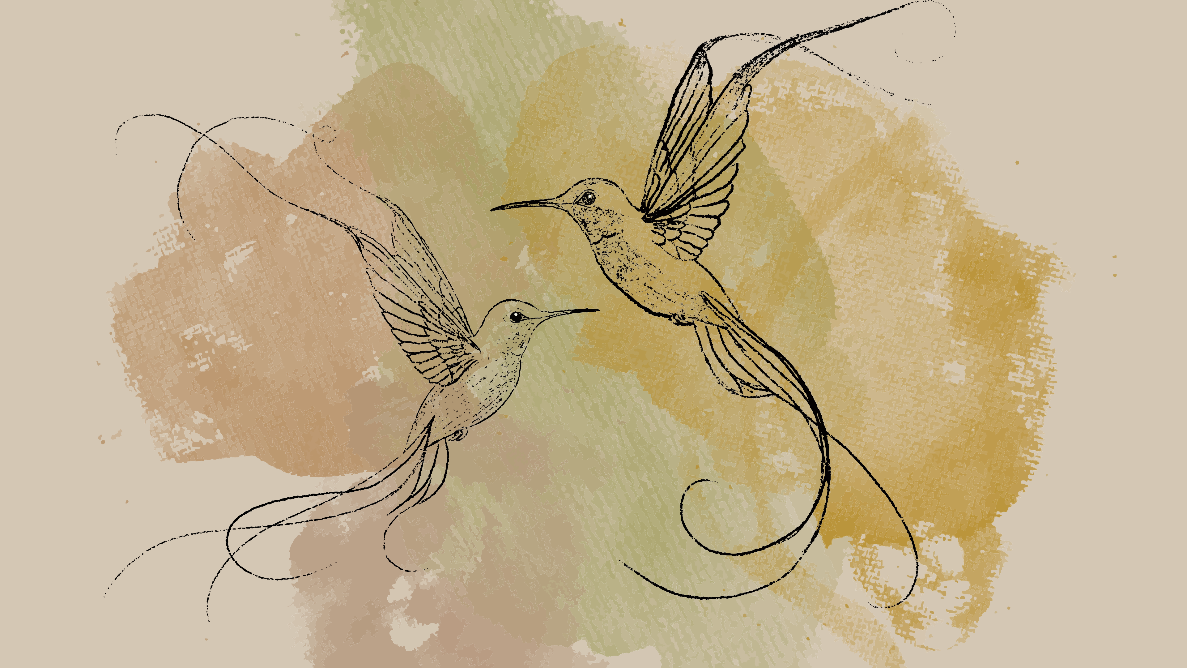 Photo by pragatichoudhari