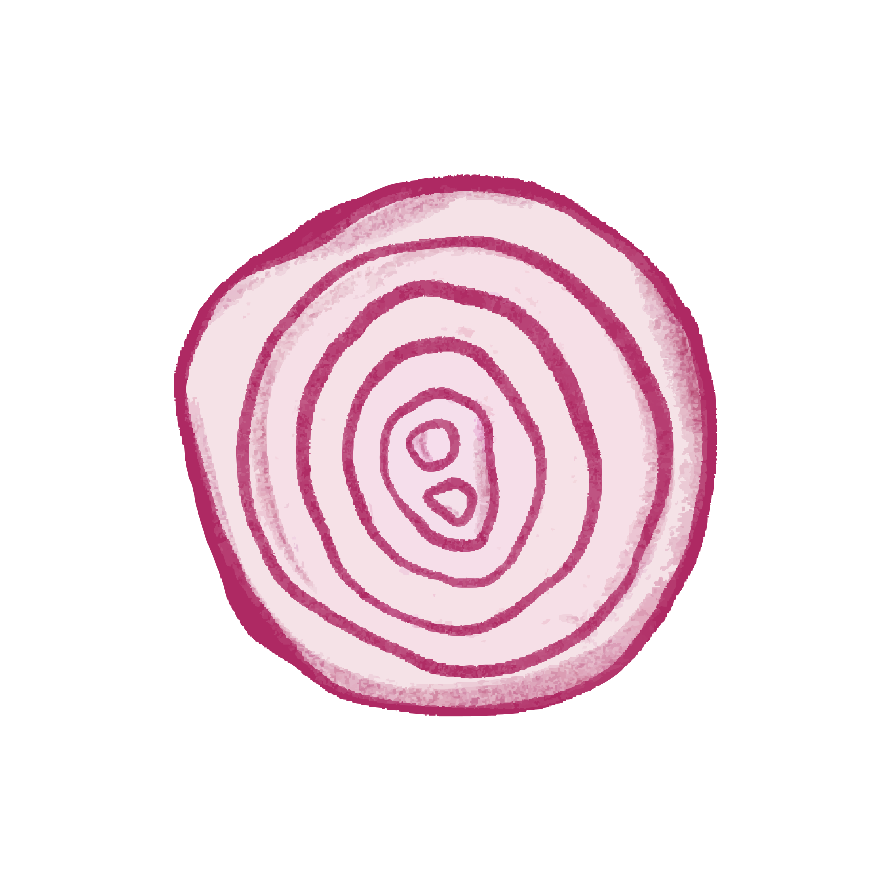 Scheibe rote Zwiebel mit konzentrischen Ringen