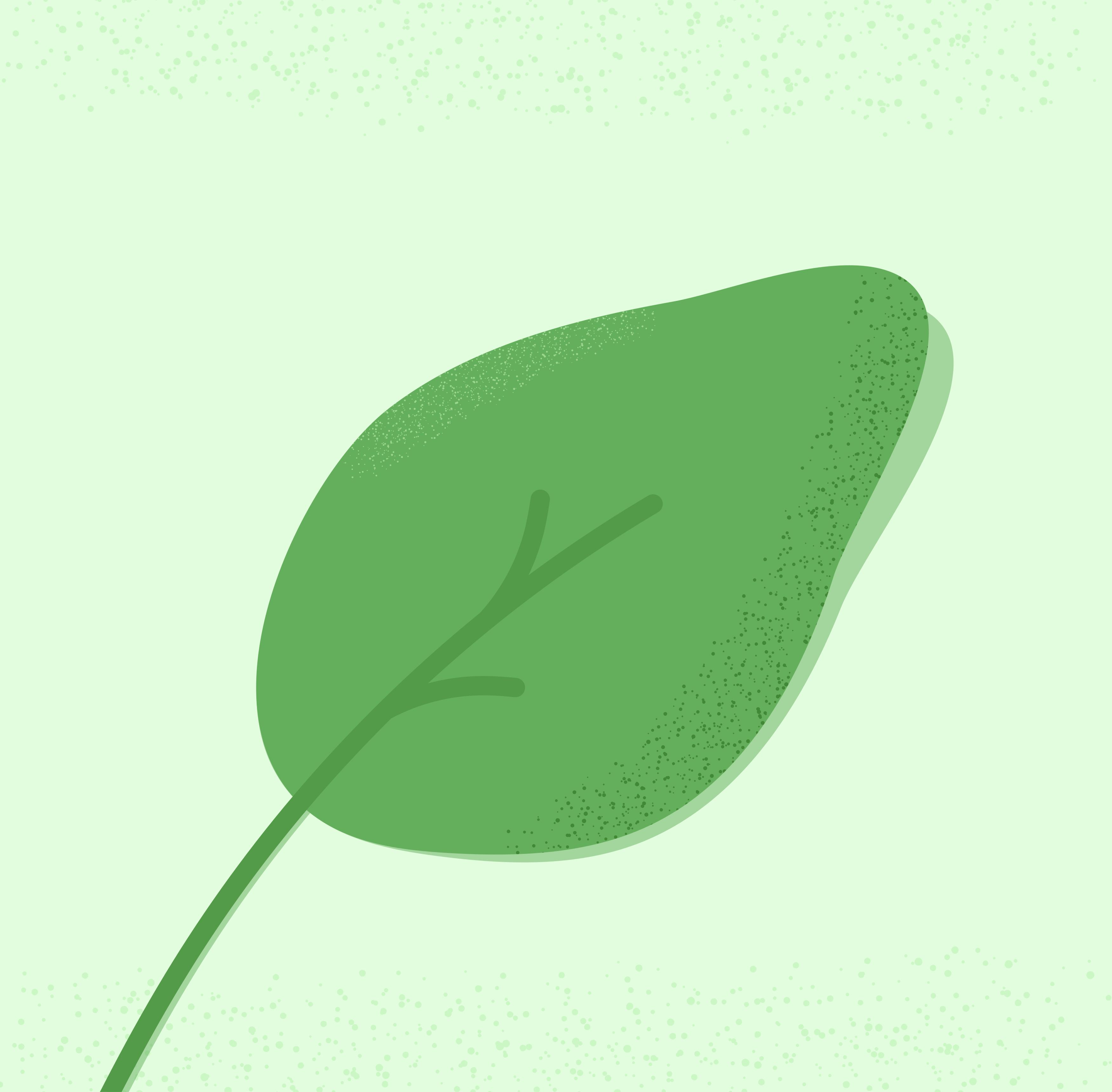 Photo by ummehaniali