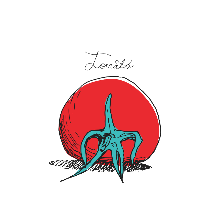 A red tomato with a green stem