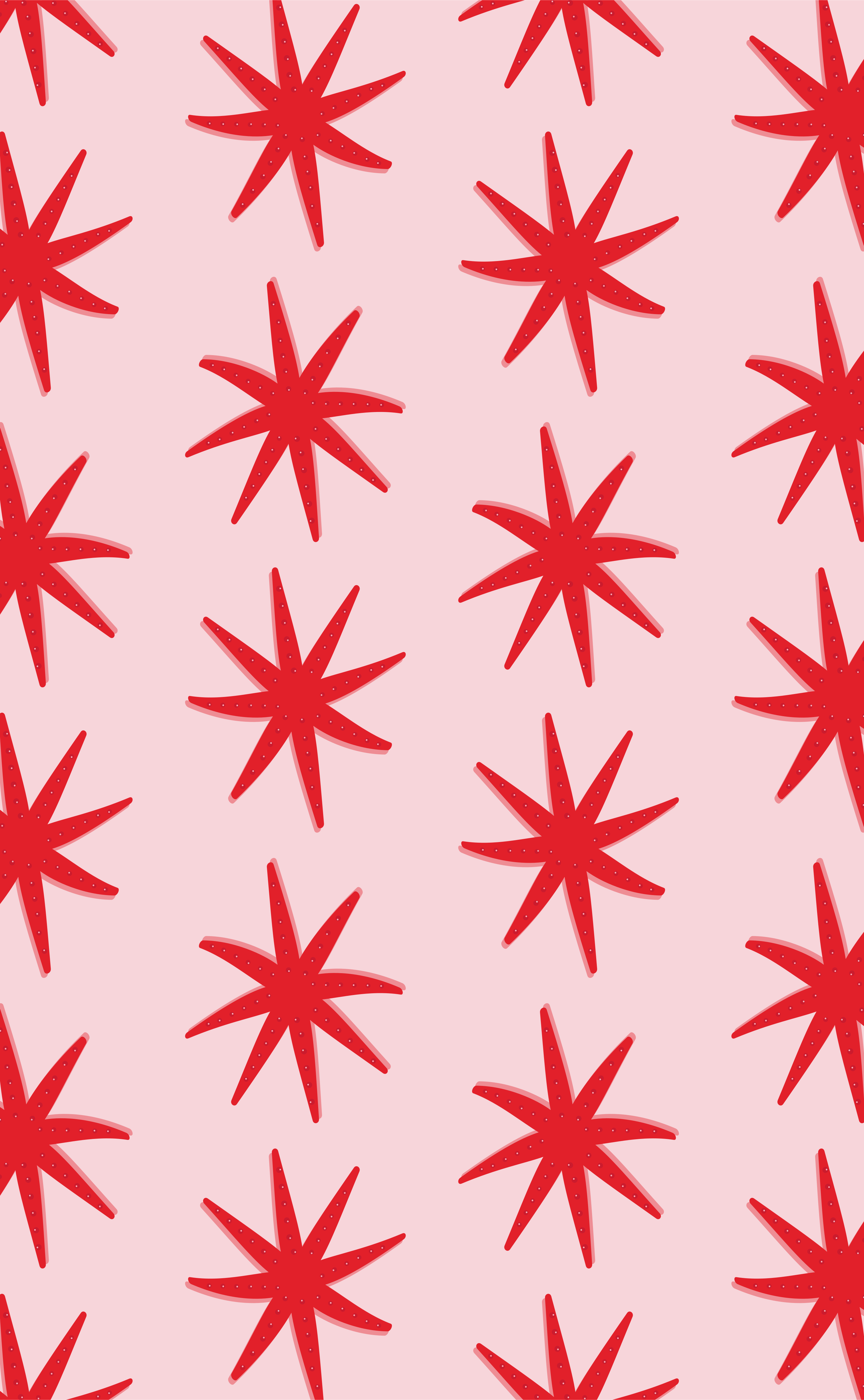 Photo by ummehaniali