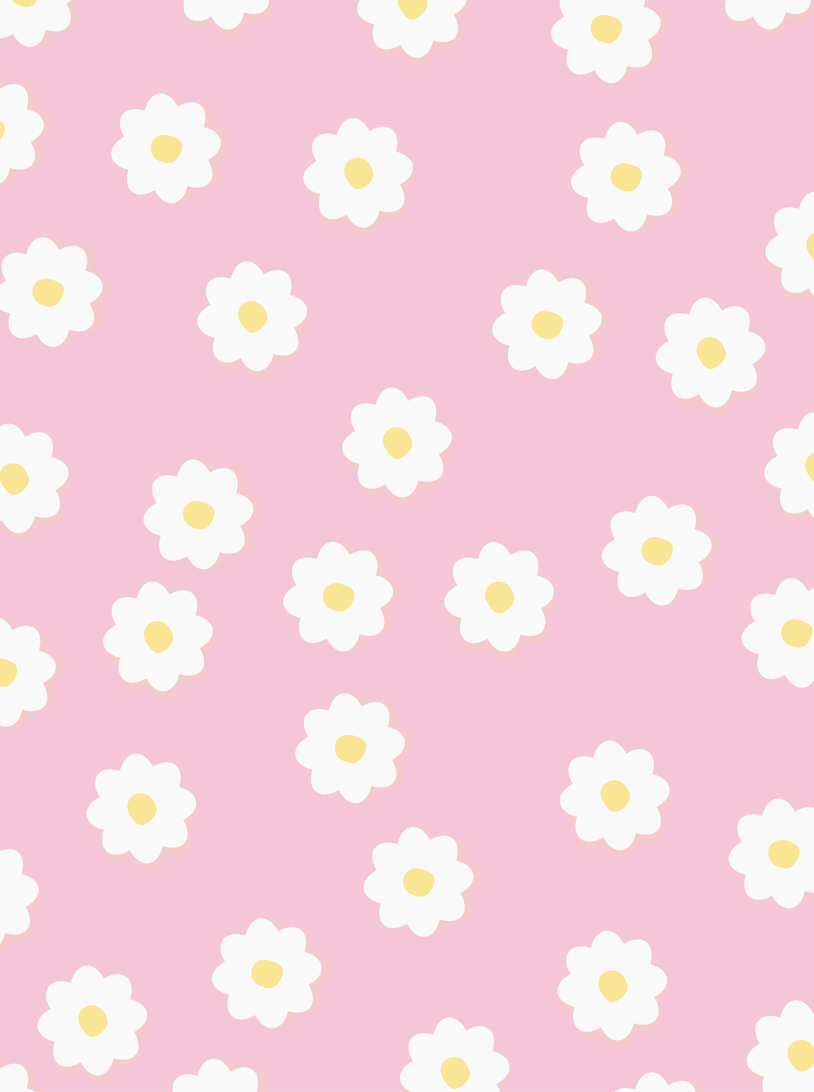 Photo by ummehaniali