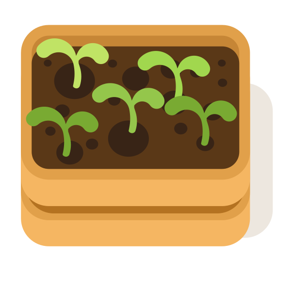 Plántulas creciendo en una jardinera.