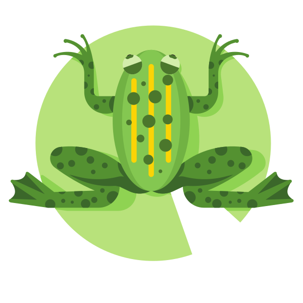 Rana verde con rayas amarillas en la hoja de nenúfar