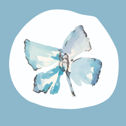 Photo by dilettadavolio