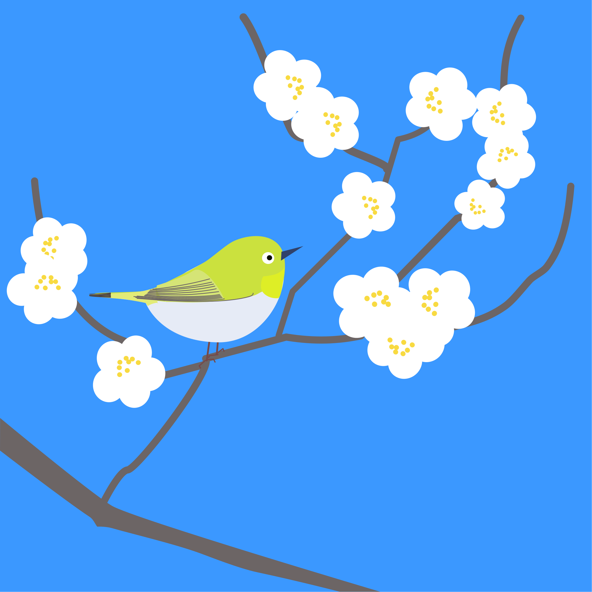 A small bird perches on a blooming cherry blossom branch.