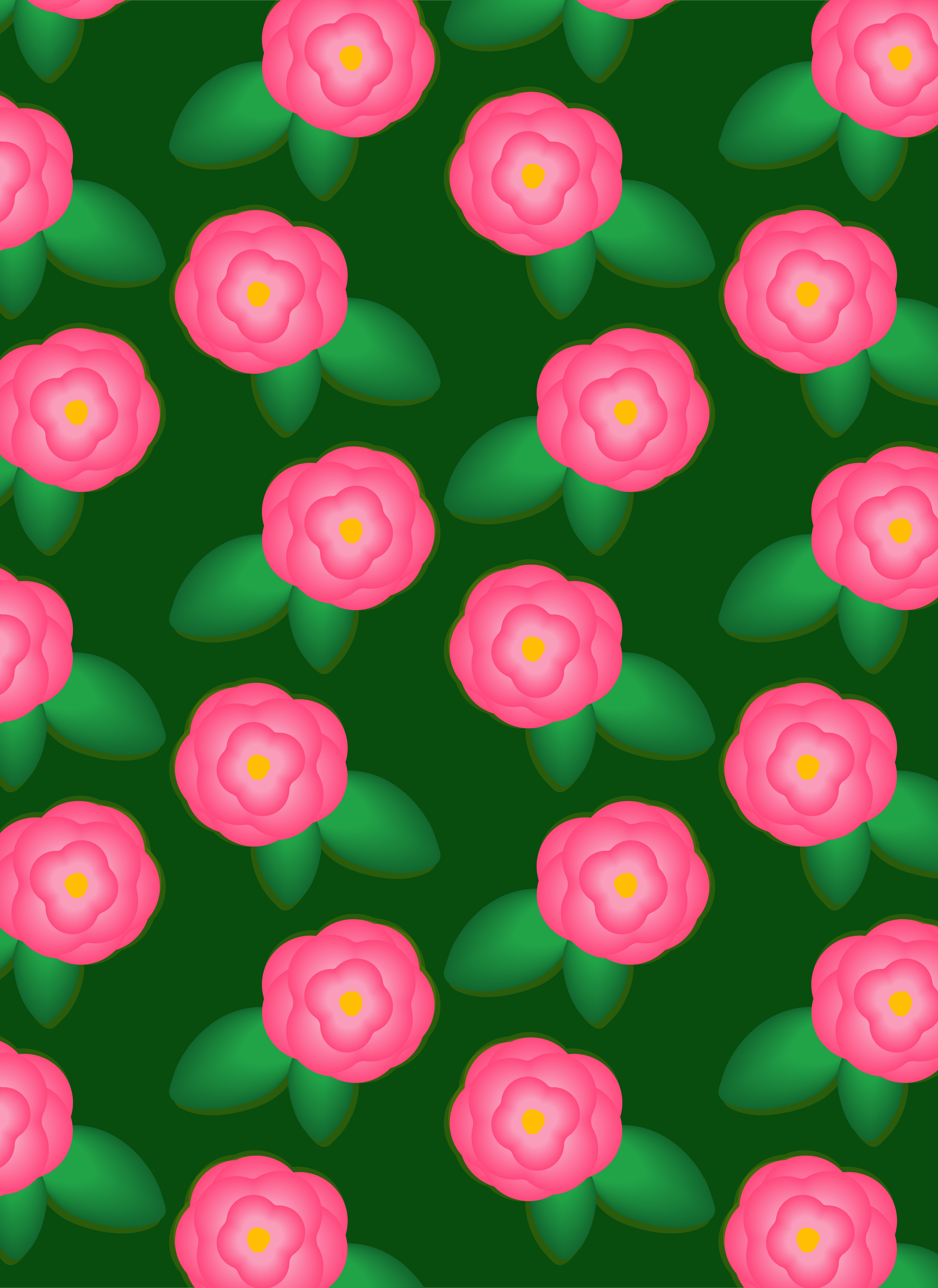 Photo by ummehaniali