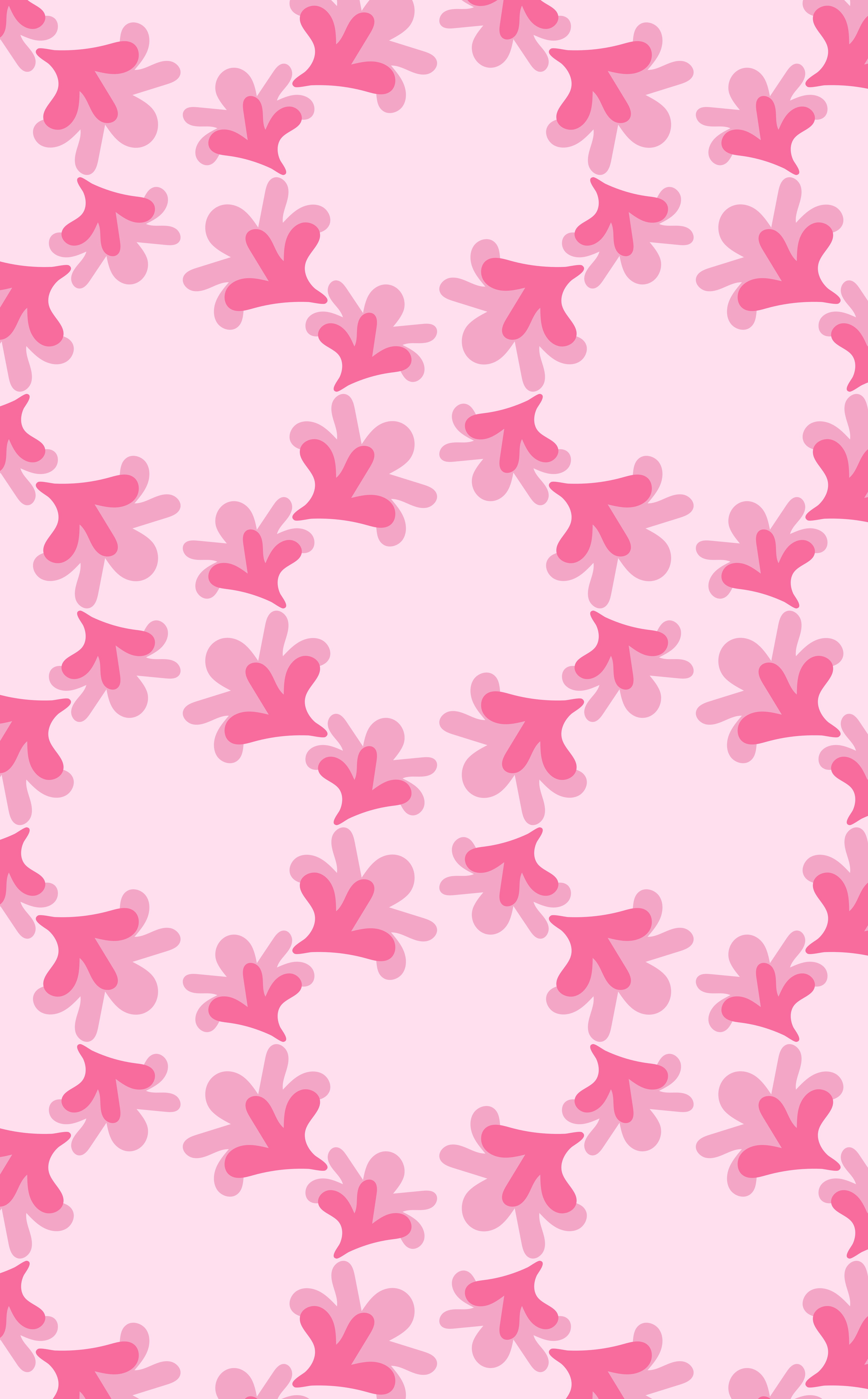 Photo by ummehaniali