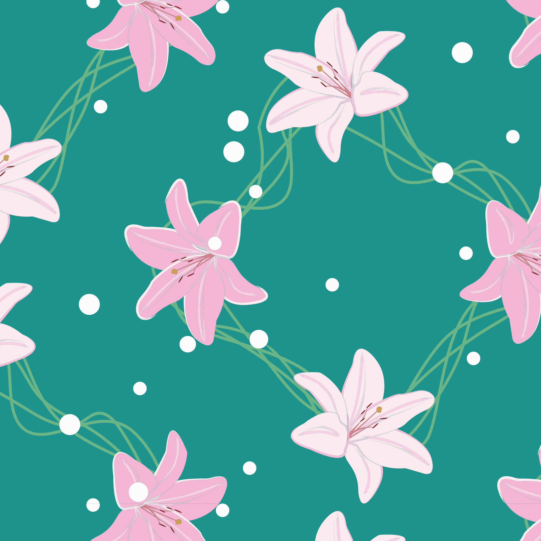 Photo by draw_chicken