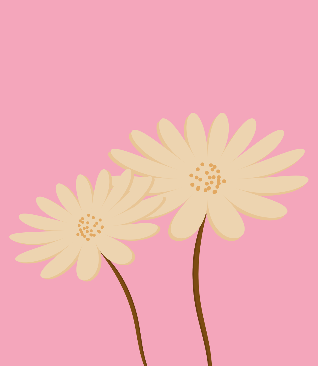 Photo by ummehaniali