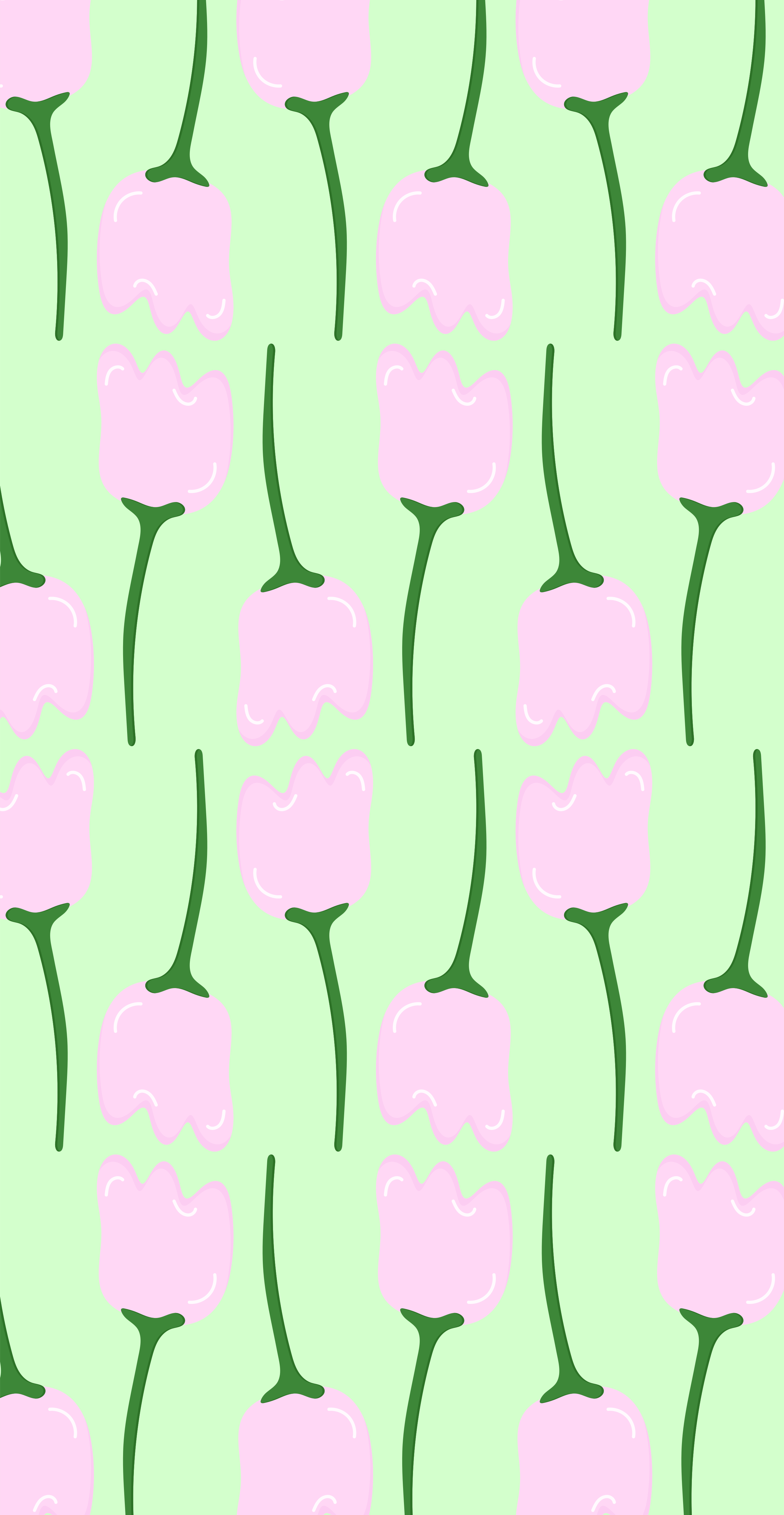 Photo by ummehaniali