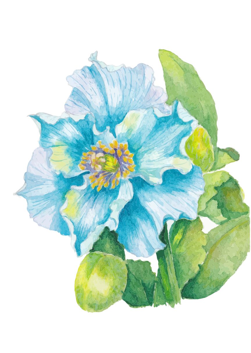 Photo by kaoria_design