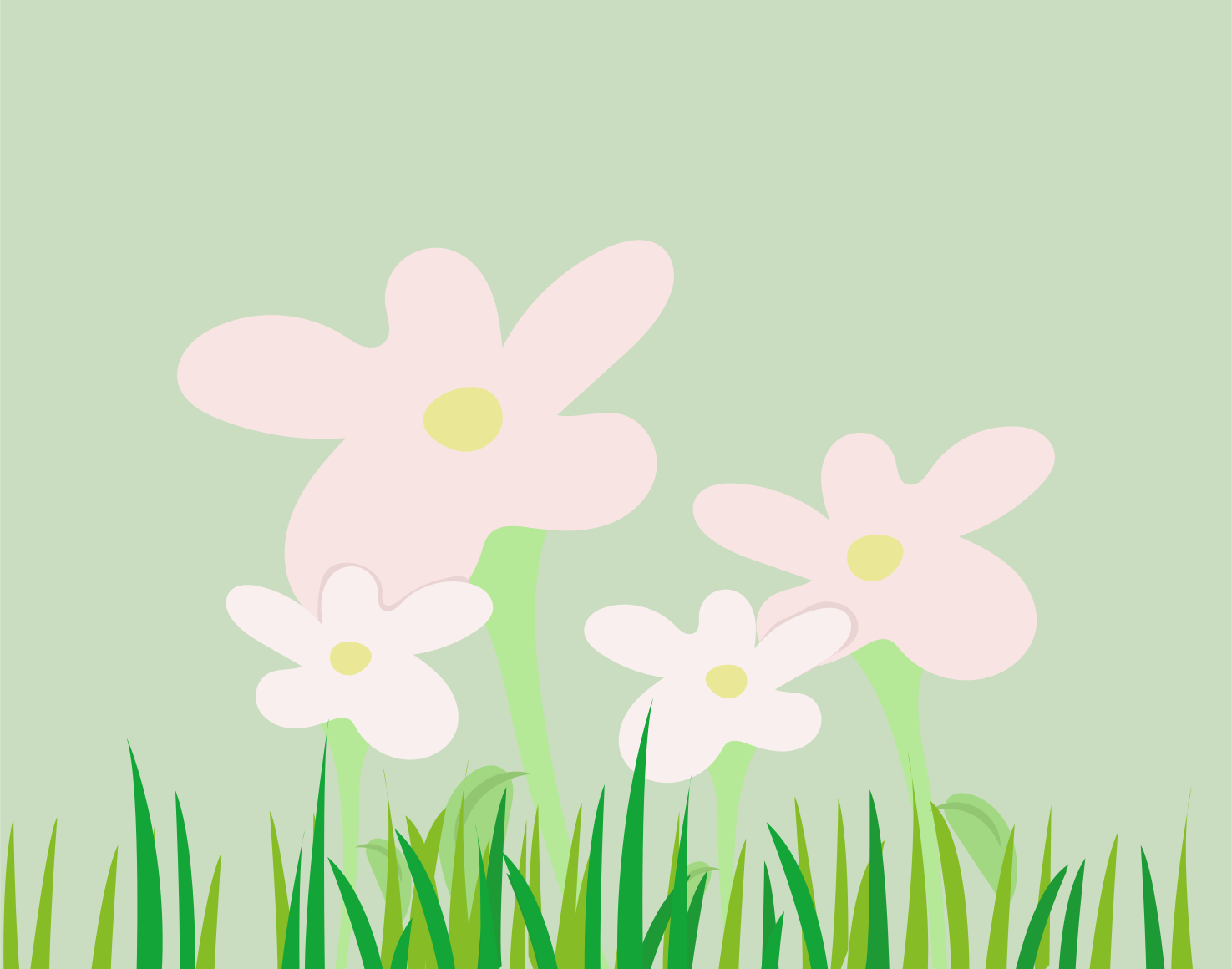 Photo by ummehaniali