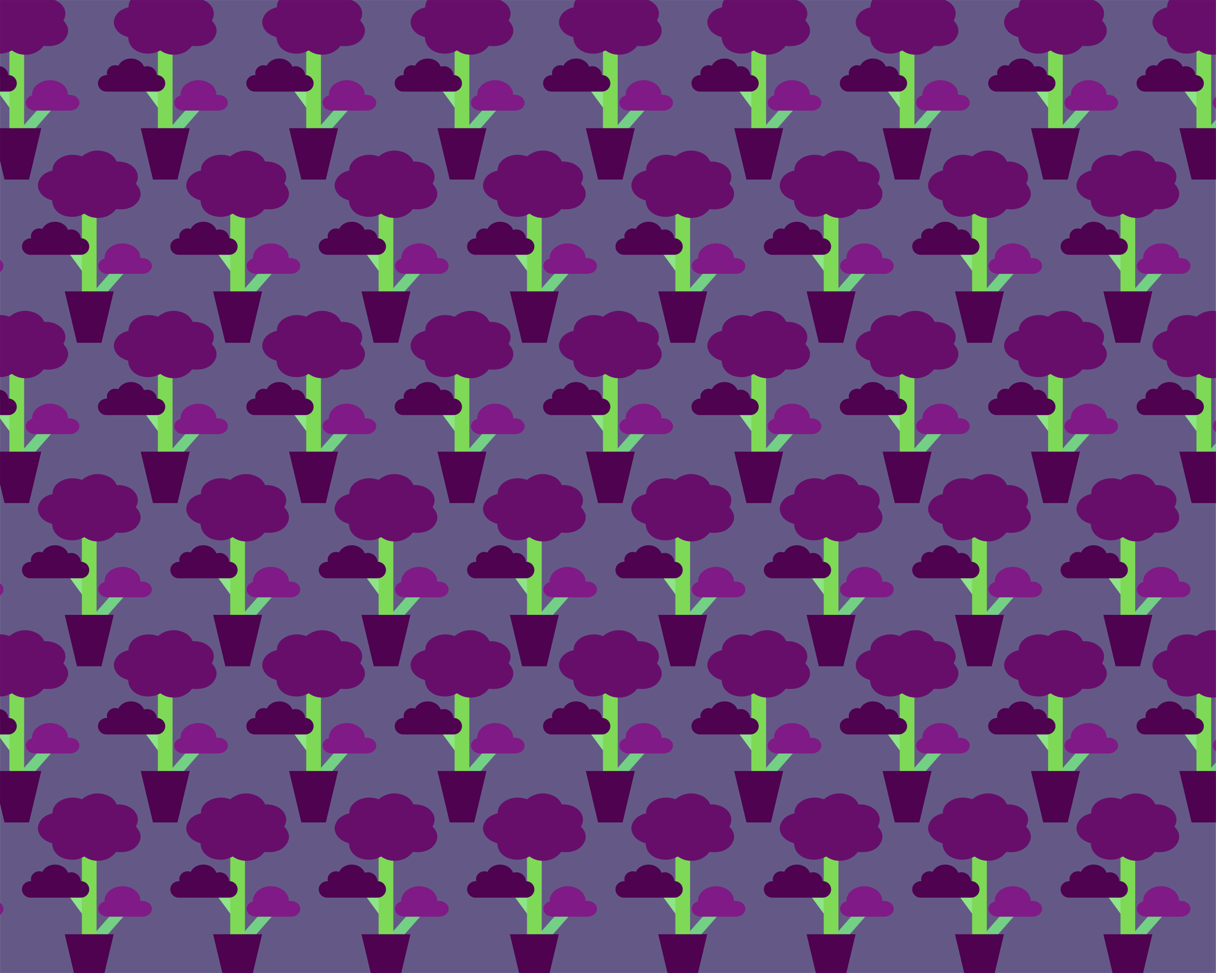 Photo by misjamuzyka