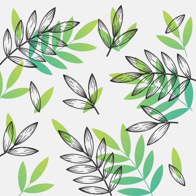 Photo by publicdomainvectors