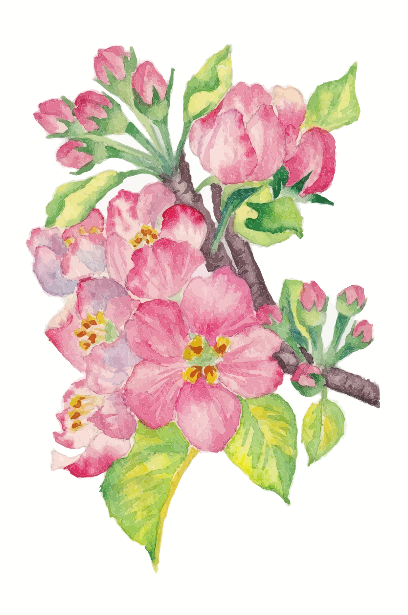 Photo by kaoria_design