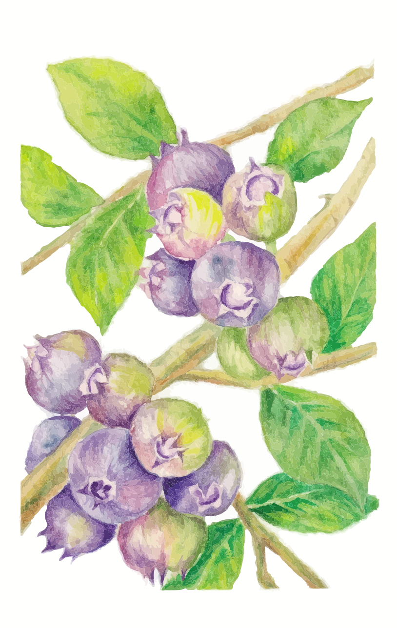 Photo by kaoria_design