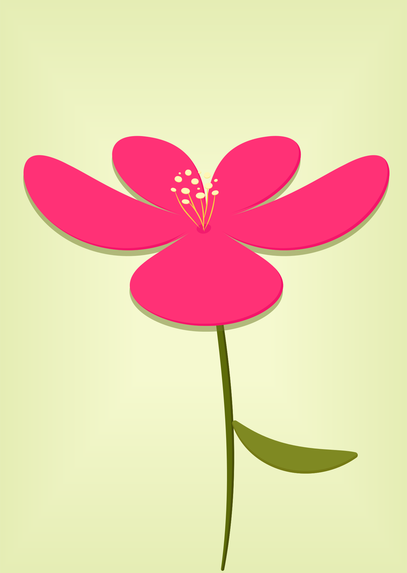 Photo by ummehaniali