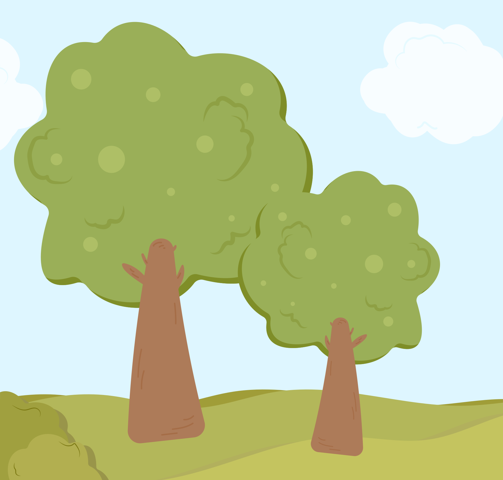 Photo by ummehaniali