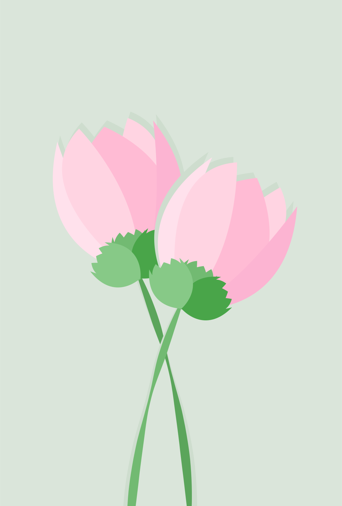 Photo by ummehaniali