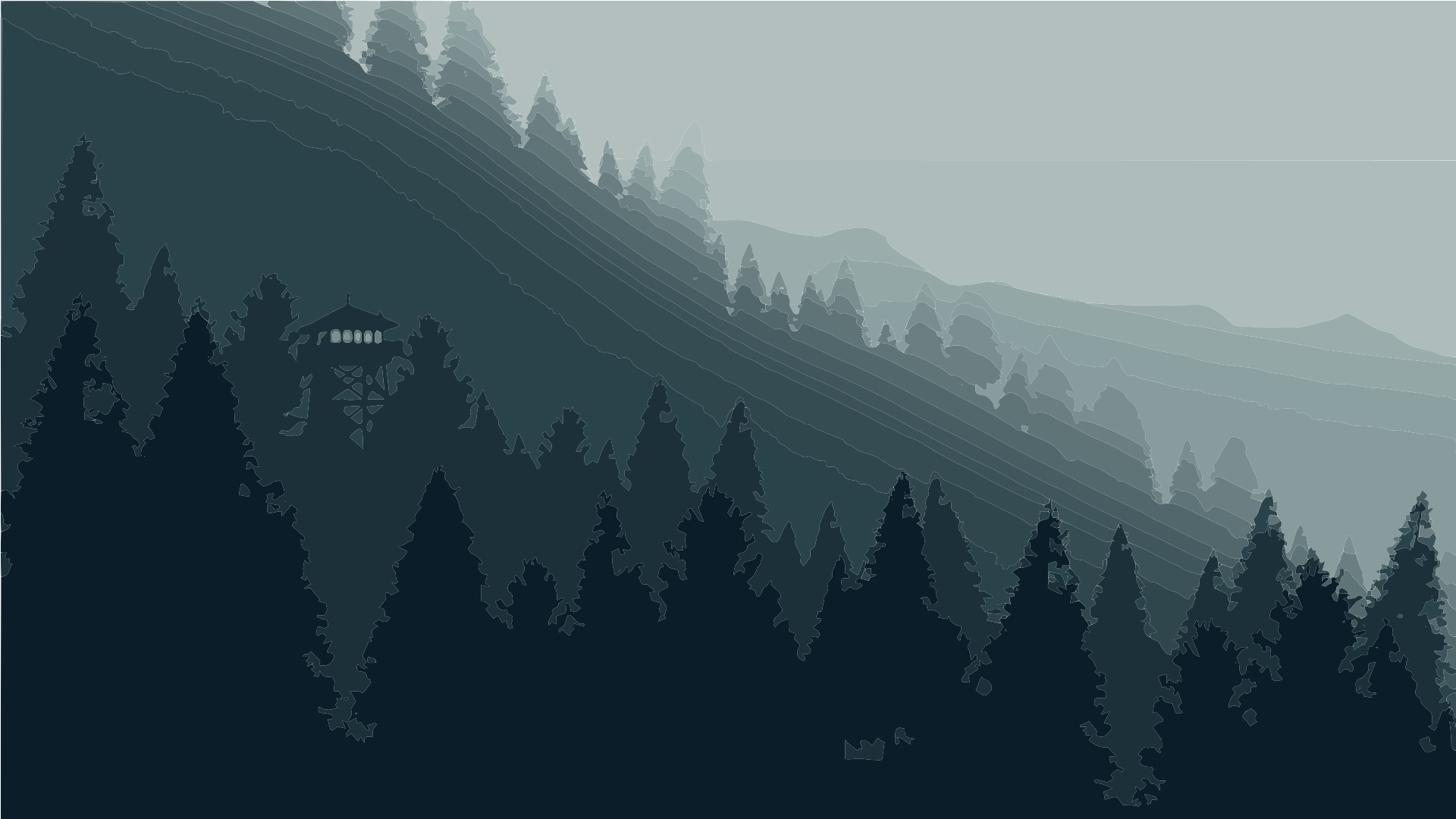 Misty evergreen forest on a mountain slope