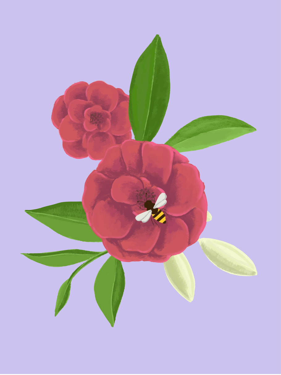 Photo by renatazarpelon