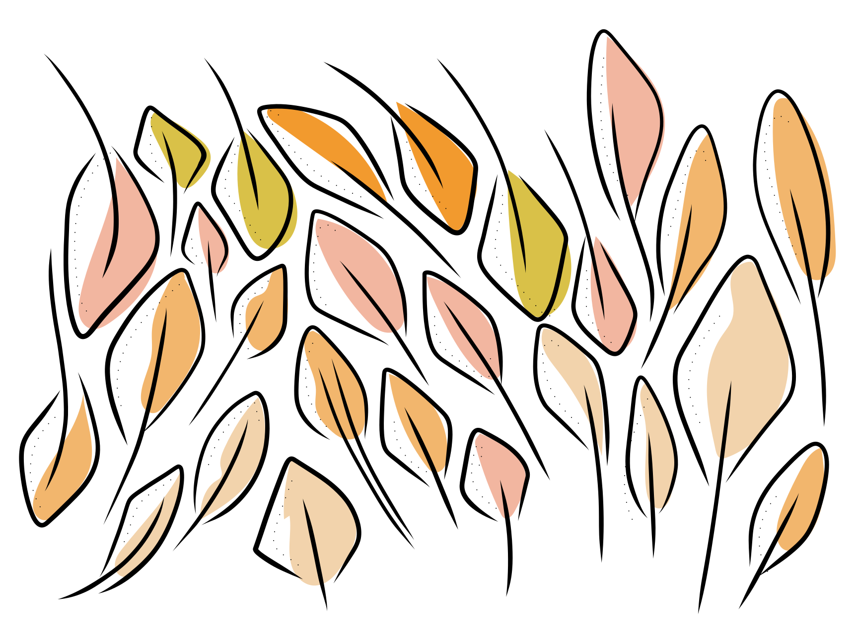 Photo by _fridarika_