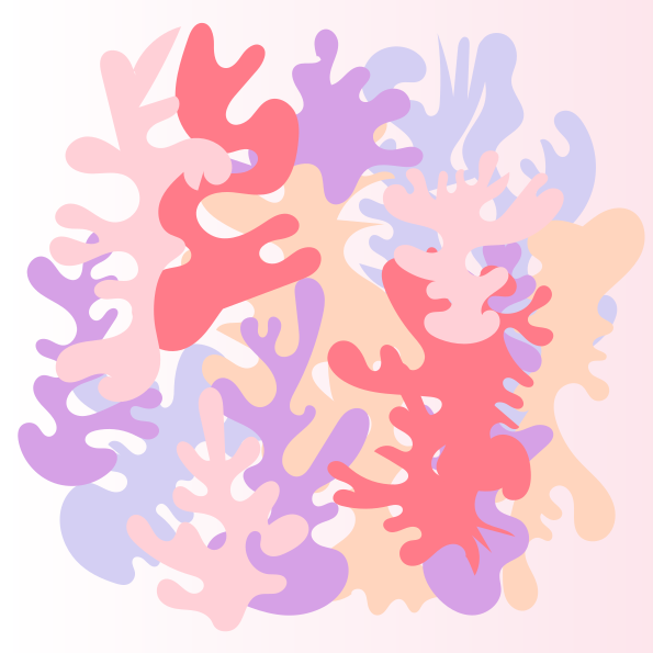 Photo by _fridarika_