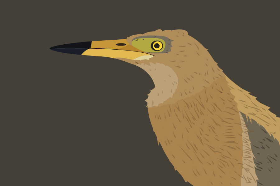 Photo by sonika_agarwal