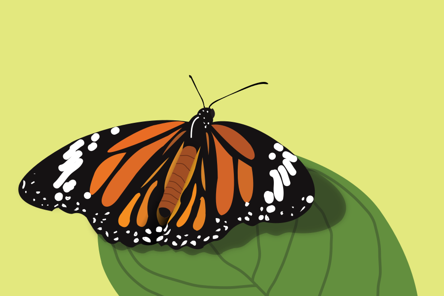 Photo by sonika_agarwal