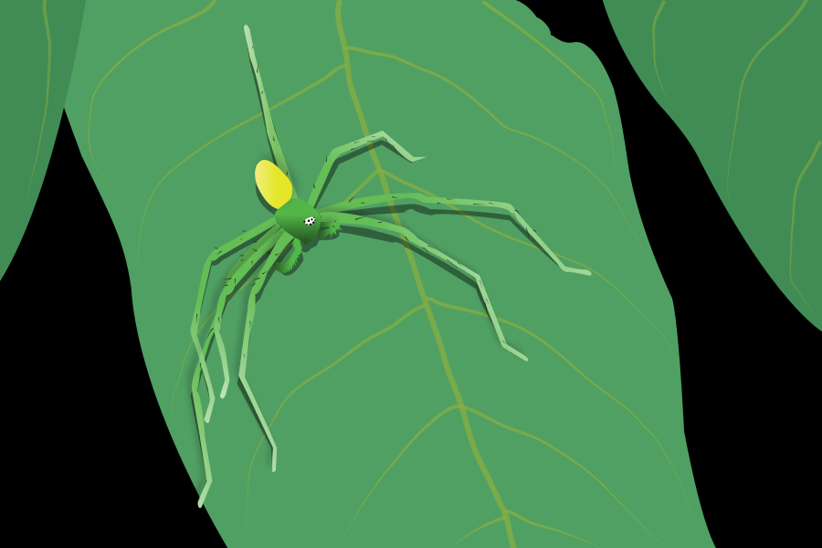 Photo by sonika_agarwal