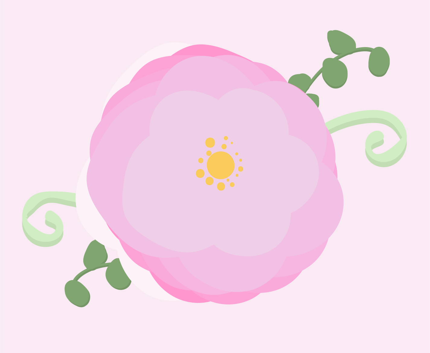 Photo by ummehaniali