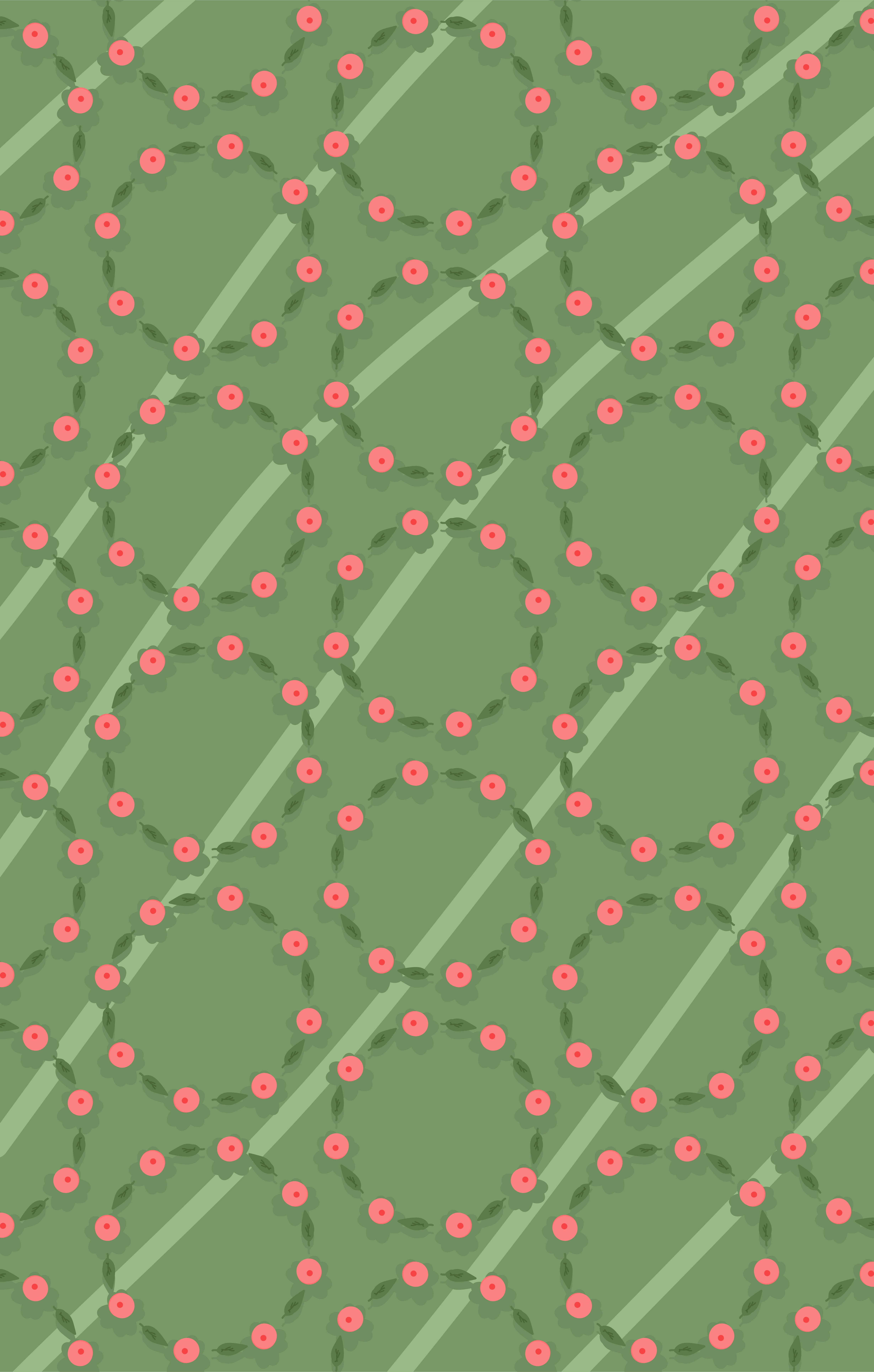 Photo by ummehaniali