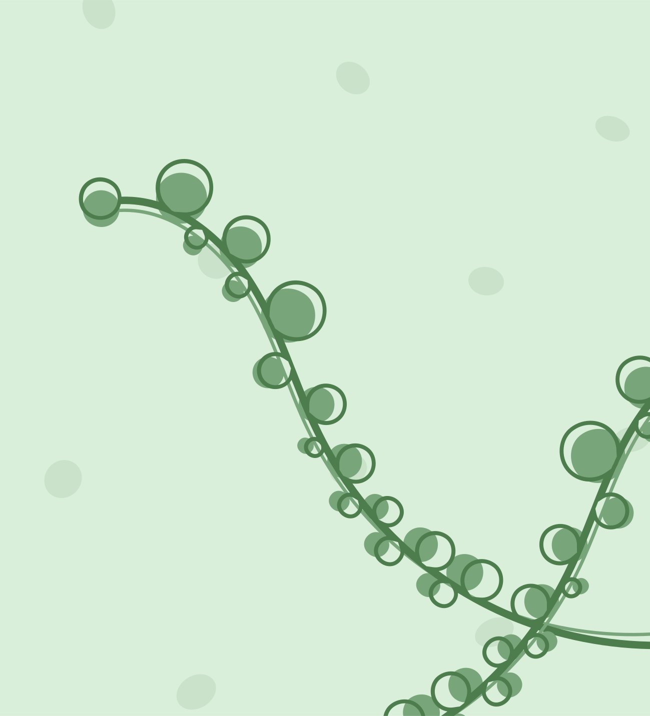 薄い背景に水滴がついた緑色の植物の蔓