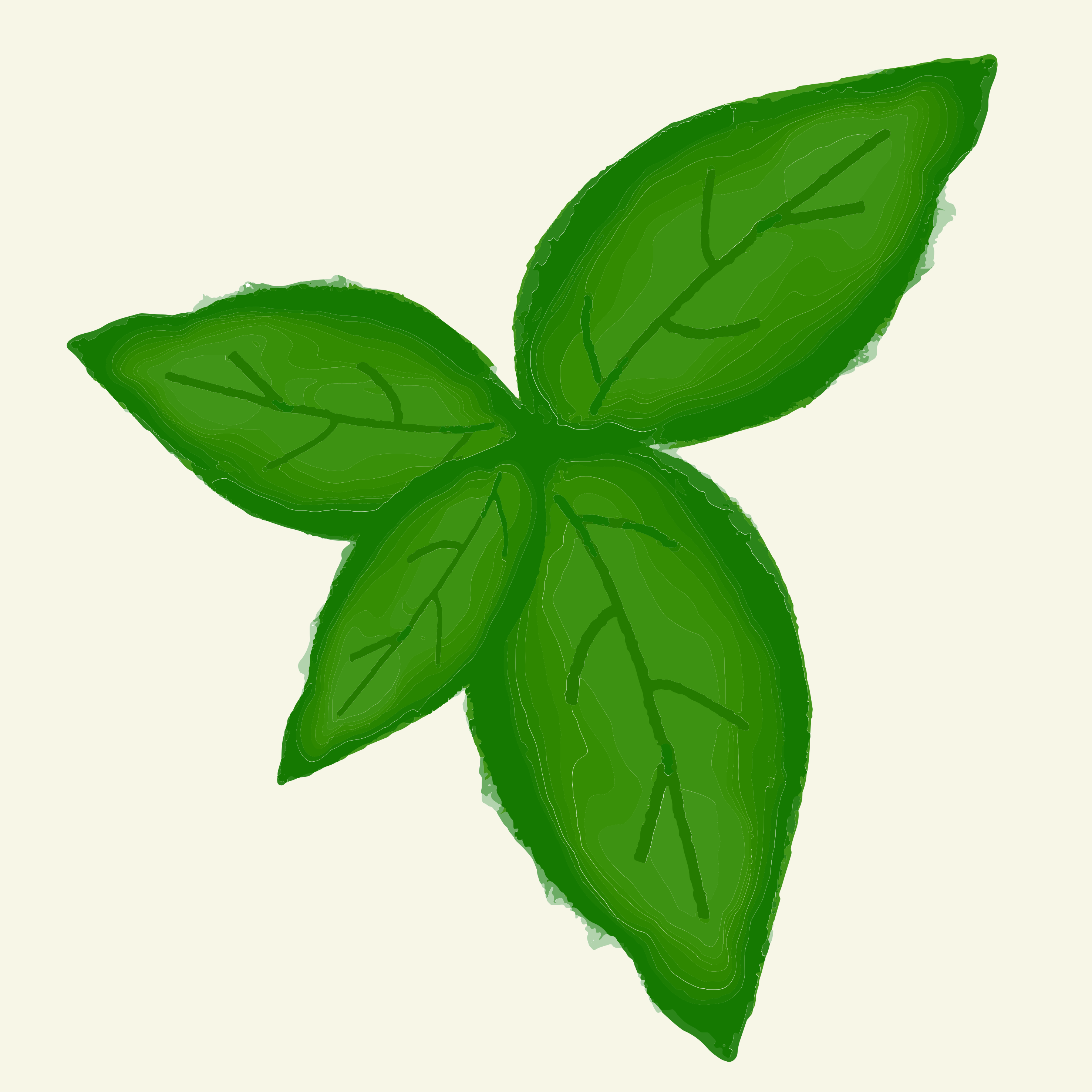 Photo by ummehaniali