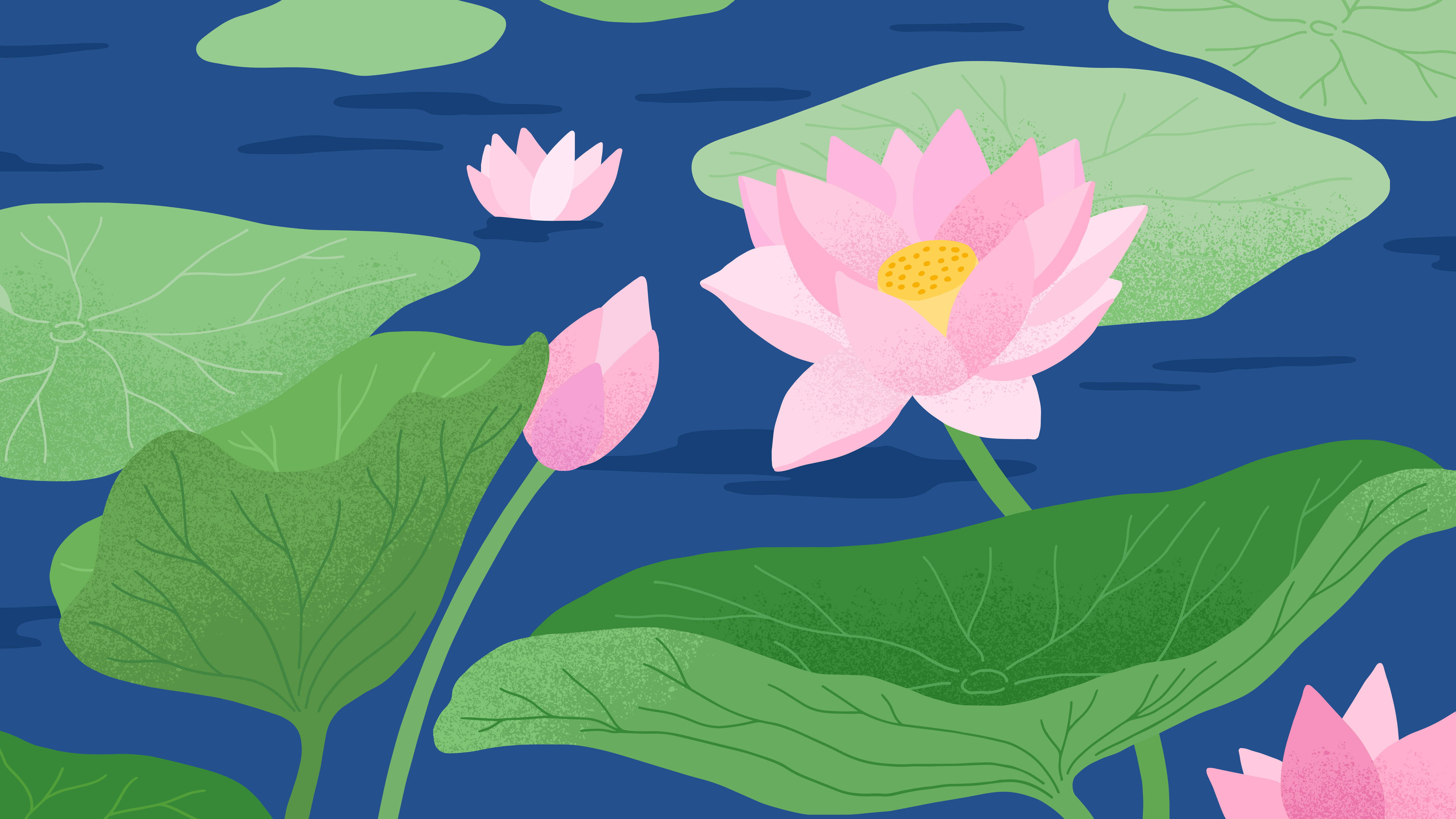 Photo by allisonsaeng