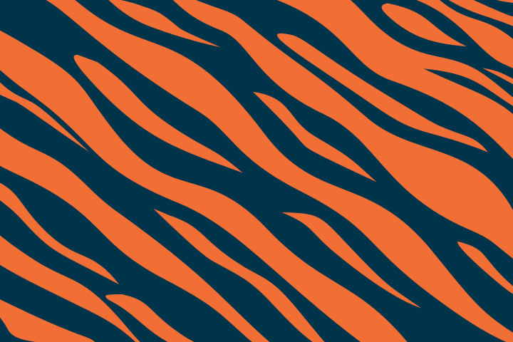 Motif de rayures de tigre orange et bleu foncé