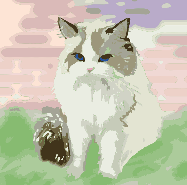 A fluffy white cat with blue eyes sits outdoors.