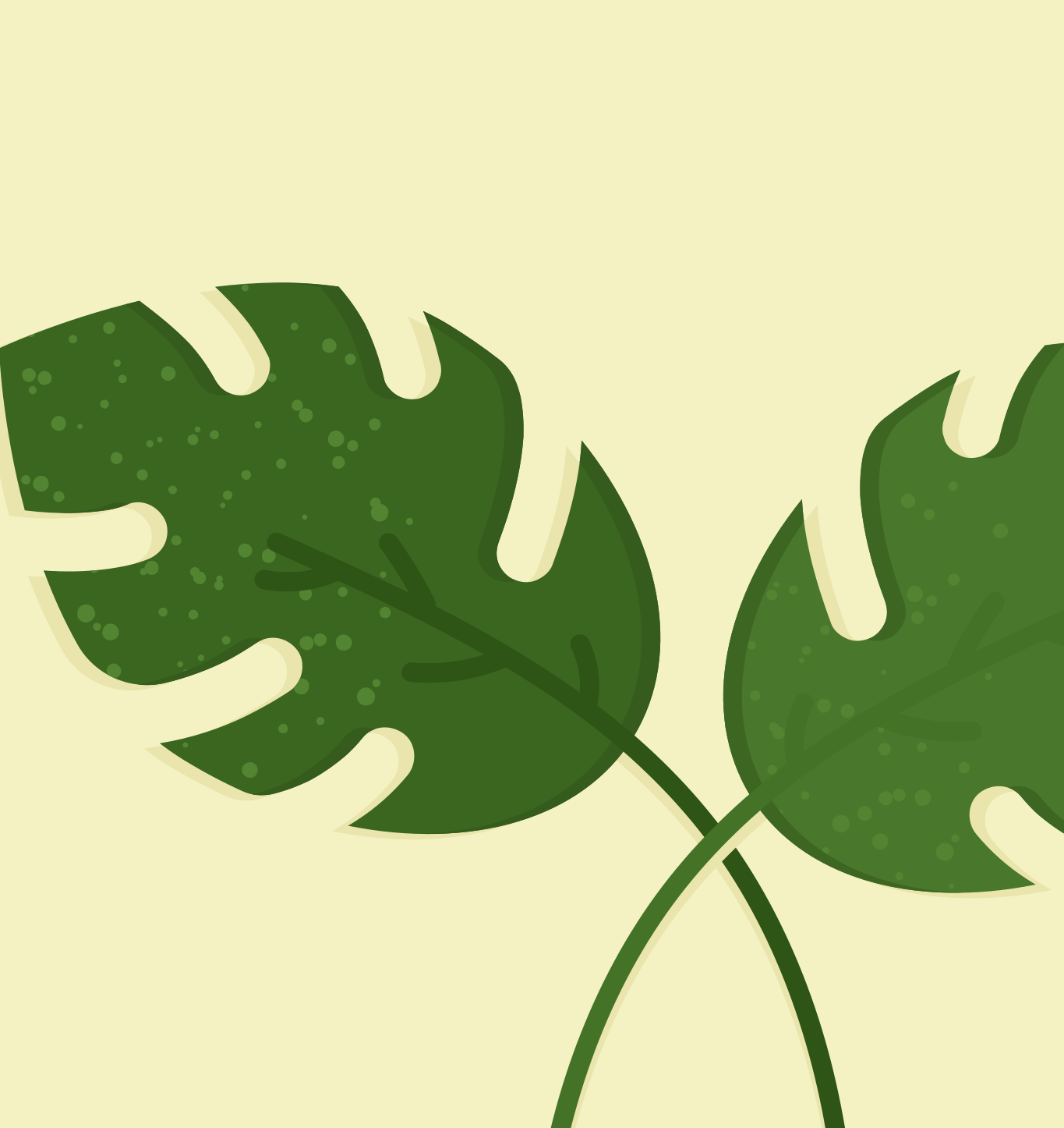 Photo by ummehaniali