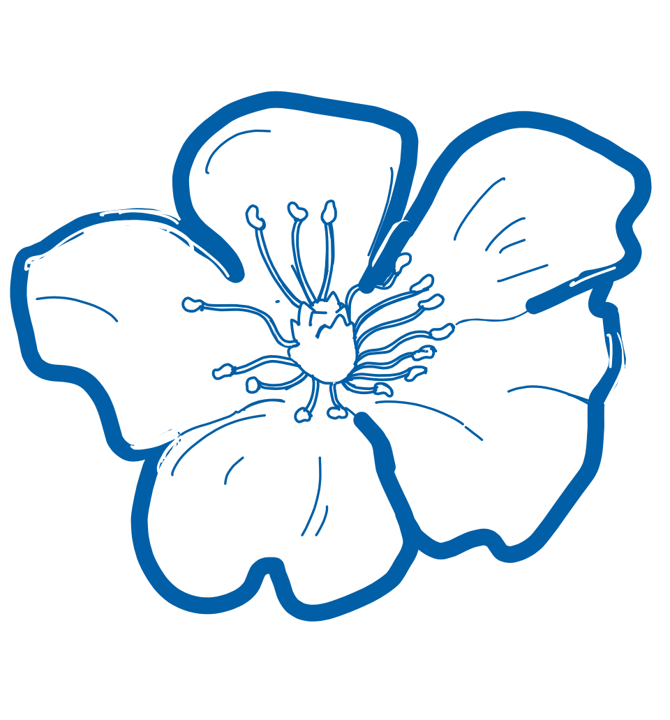A simple blue outline drawing of a flower